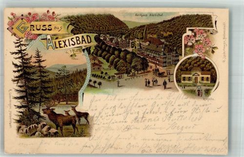 Alexisbad 1900 Kurhaus Alexisbad Hirsch und Hirschkühe Kapelle Bahnpost Gernrode-Harzgerode