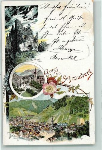 Schramberg 1901 Ruine Nippenburg Rose
