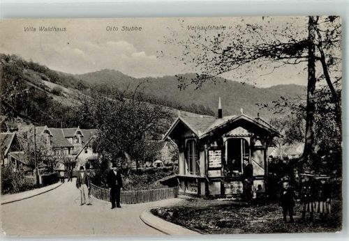 Sülzhayn 1910 Villa Waldhaus Otto Stubbe Verkaufshalle von Fr. Ricke