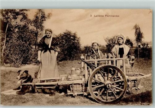 1915 Laitieres Flammandes AK