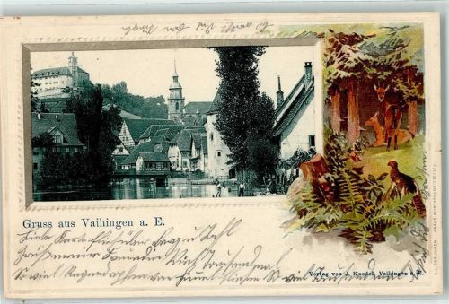 Vaihingen 1905 Rehe Rebhuhn Burg Vaihingen