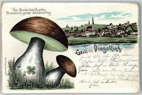 84130 W8312 Dingolfing 1901 Lithographie Schwarmmerlinge Kleeblatt