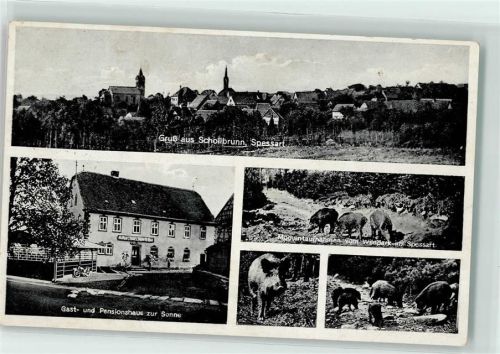 97852 W6981 Schollbrunn , Spessart - Wildpark Wildschweine Gast- und Pensionshaus zur Sonne Motorrad