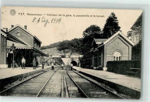 Nessonvaux 1914 Bahnhof Interieur de la gare la passerelle et le Tunnel Fahrrad