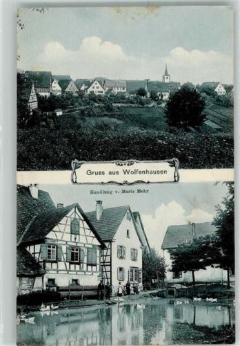 Wolfenhausen 1916 Handlung v. Marie Mahr Gänse