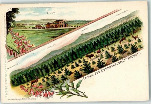 Benneckenstein Bahnhof Eisenbahn Gruss Wild Blumen