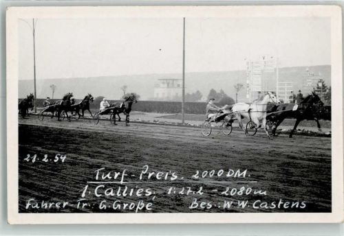 Turf Preis 1954