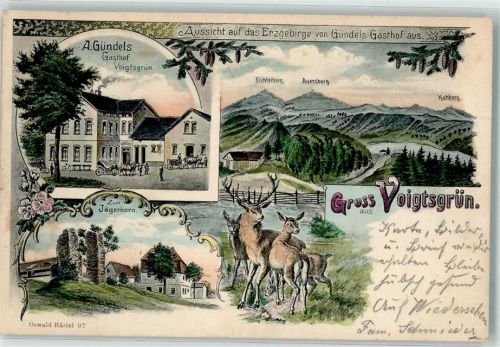 Voigtsgrün 1911 Gasthaus Voigtsgrün Fichtelberg Auersberg Zum Jägerhorn Hirsch Hirschkühe