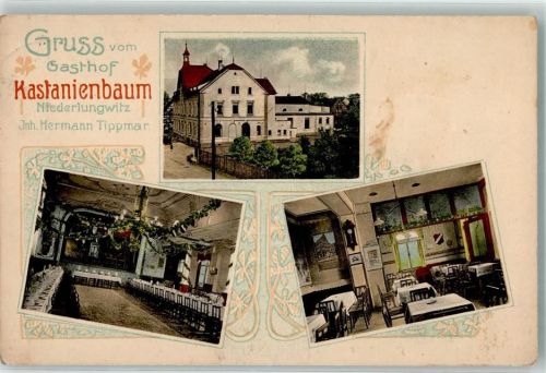 08371 O9611 Niederlungwitz 1915 - Gasthaus Kastanienbaum Gastraum Festsaal