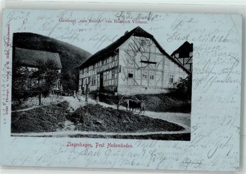 Hedemünden 1905 OT. Ziegenhagen Gasthaus zum Storch Rind
