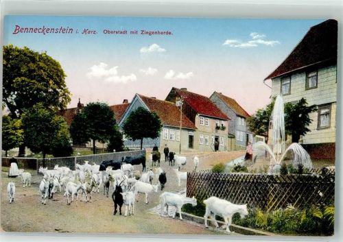 Benneckenstein Oberstadt Ziegen- und Rinderherde Gartenspringbrunnen