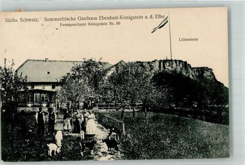 Königstein Gasthaus Ebenheit Garten Hunde Lilienstein Bahnpost Dresden-Bodenbach Zg. 434