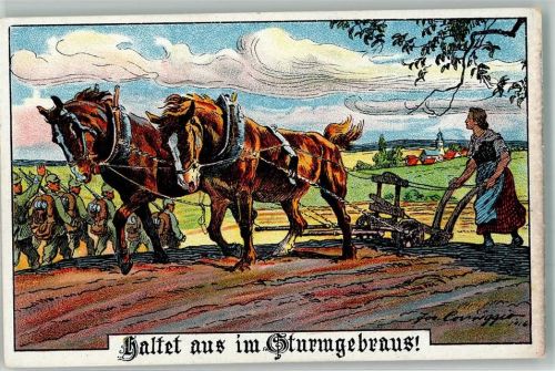 Kriegsfürsorge Frau mit einem Pflug Tiergespann : Haltet aus WK I