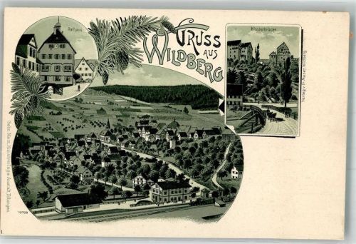 Wildberg Lithographie Rathaus Bahnhof Klosterbrücke Tannenzapfen
