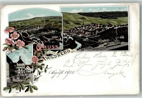 Wildberg 1900 Rathaus Christophs-Brunnen