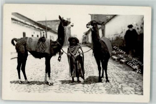Tracht Alpaka