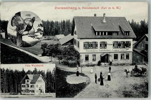 Zwieselberg 1911 Gasthaus z. Auerhahn Villa Waldesruh