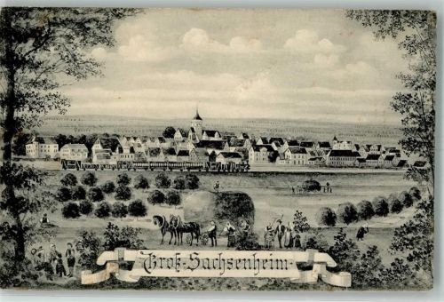 Sachsenheim 1914 Bauern Heuernte Ernte-Pferdefuhrwerk