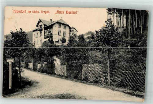 Kipsdorf 1919 Pension Haus Barthof Bahnhofstrasse Bahnpost -Kipsdorf Zug 5305