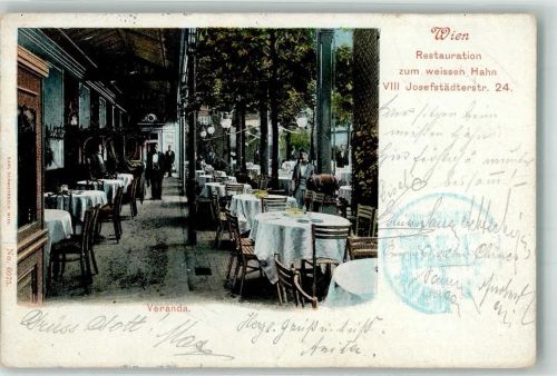 Wien 1901 Gasthaus Zum weissen Hahn Josefstädter Straße 24