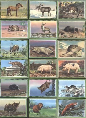 Lot mit 19 div Tierbilder (Zahnmedizin Chlorodont)