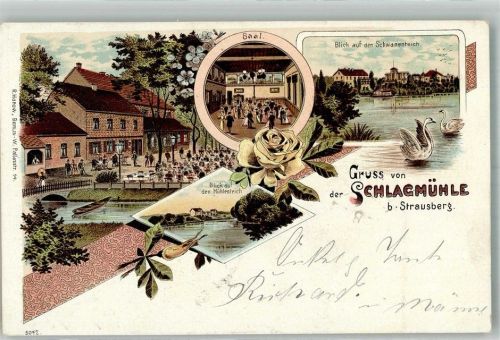 Strausberg 1899 Gasthaus Schlagmühle Saal Mühlenteich Schwäne Rosenknospe