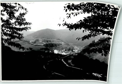Zell Scan verzogen