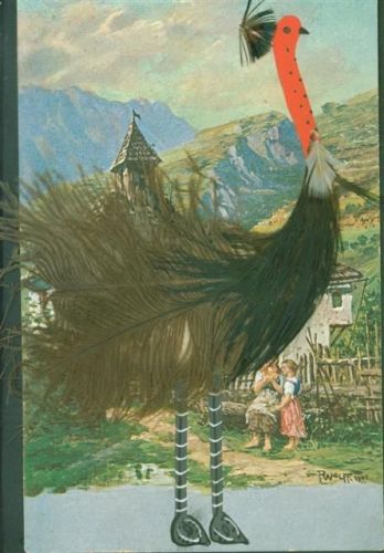 Vogel mit echten Federn