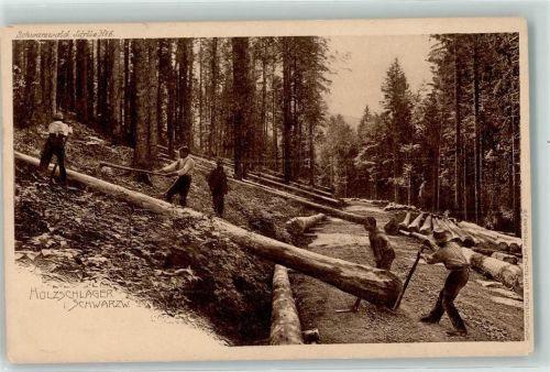 1900 Schwarzwald Idylle Nr. 6 Holzschläger Beruf