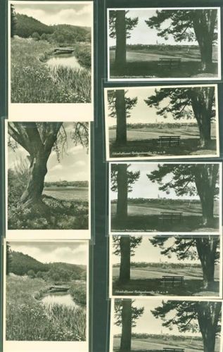 Pfalzgrafenweiler Lot mit 19 AK und 1 Foto viele mehrfach