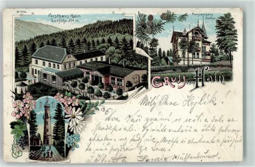 Hain Lithographie Forsthaus Hain Pensionshaus Hütter Hainturm