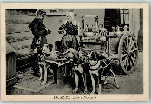 Brüssel 1915 Laitiere Flamane Polizei Kontrolle AK