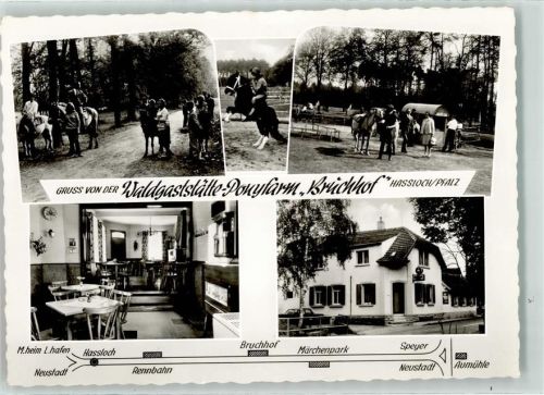 Haßloch Gasthaus-Ponyfarm Bruchhof Pferde Pony's Gastraum