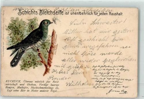 1901 Schichts Bleichseife Lithographie Vogel der Kuckuck Verlag Georg Schicht
