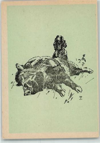 Federzeichnung Wildschwein