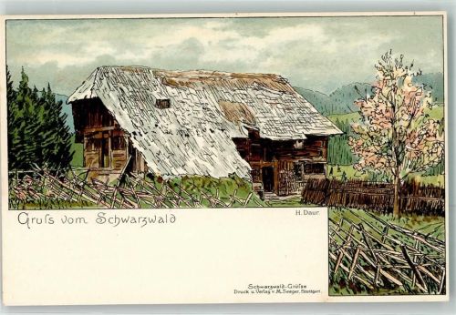 1897 Verlag Seeger Schwarzwaldhaus auf AK