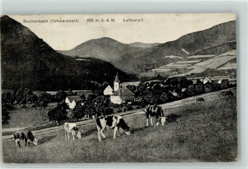Buchenbach Rinderweide Bahnpoststempel Freiburg Zug 156