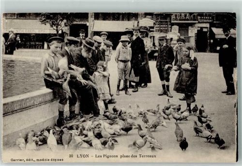Lyon Les Pigeons Place des Terreaux Tauben