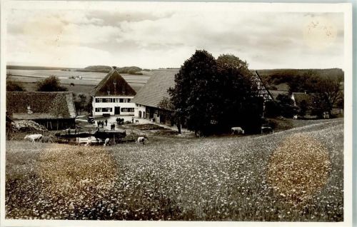 Winterstettenstadt Gasthaus Weinwirtschaft z.Stadelhof Foto AK