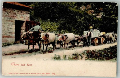 1900 Carro con buoi Ochsengespann Landwirtschaft Verlag Guggenheim 11108