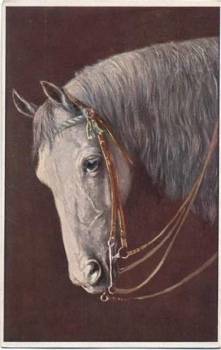 um 1910/20 Pferdekopf weiß, Künstler-AK, Serie 1422, head of horse, white, artist-card,T.S.N.
