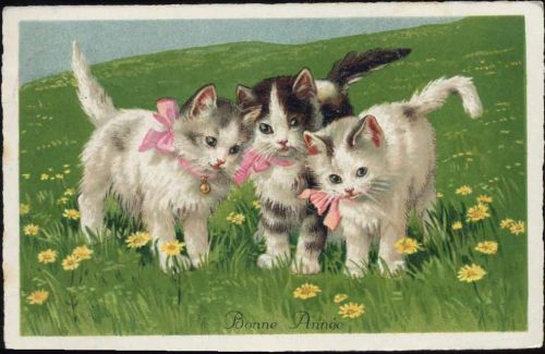 1939 3 kleine Katzen.