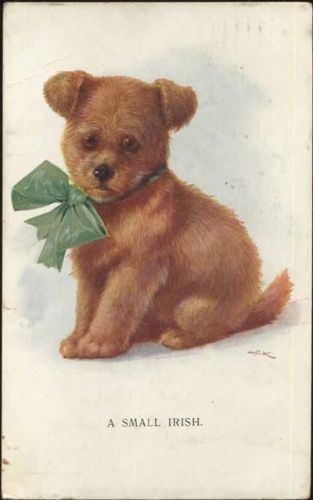 1919 Hund. A small Irish.,C.W. Faulkner,sign. AEK
