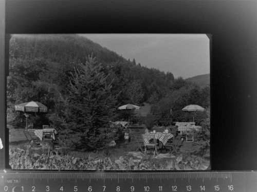 59955 W5788 Züschen , Westf GLASNEGATIV Gasthaus Waldheim