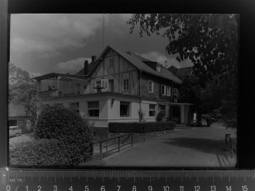 Niedersteinebach Haus zum Walde