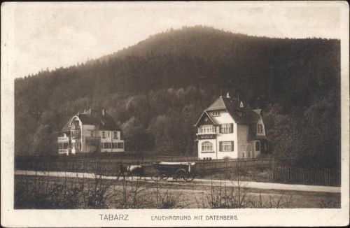 um 1920/30 Tabarz, Lauchagrund mit Datenberg,Gg. Krautwurst AKU1