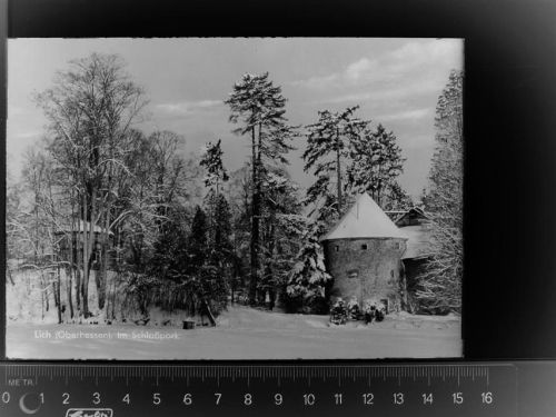 Lich Schlosspark, Winter