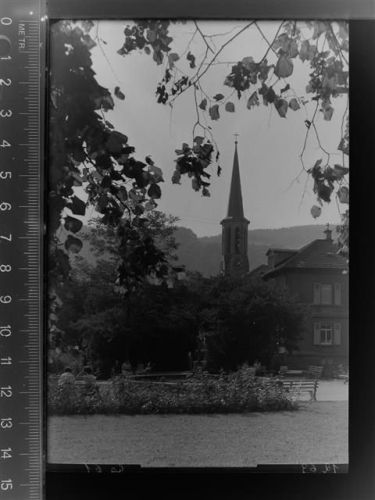 Zell