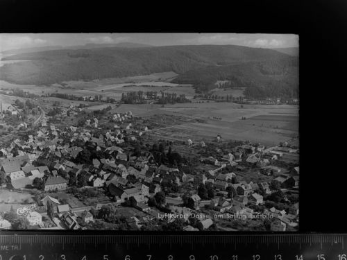Dassel
