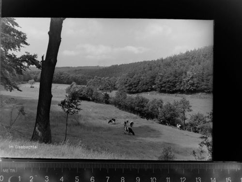 Schwerte Im Eisebachtal